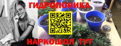 соль ск Усть-Джегута