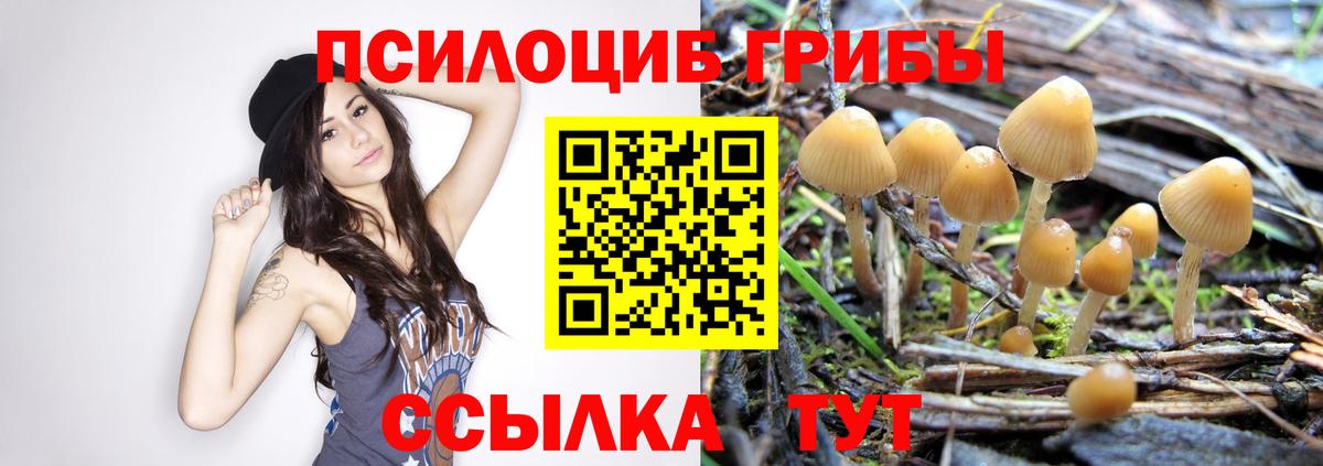 Псилоцибиновые грибы мицелий  Псилоцибиновые грибы MAGIC MUSHROOMS  Вход с VPN  Мурманск 